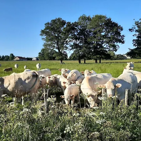 Le Du Bois De L'hiver, Grange De Caractere Avec Vue Sur Le Puy-de-dome Prázdninový dům
